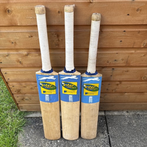 English willow cricket bats - willow,