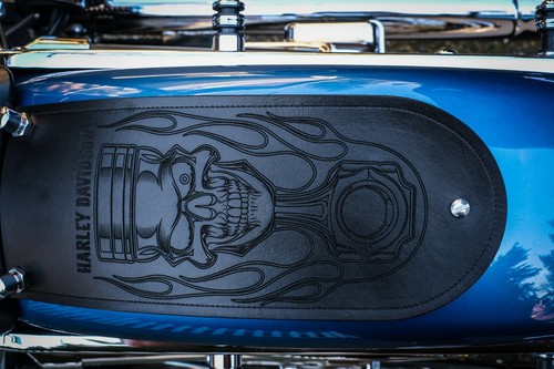 Rear fender bib panel harley - rear,