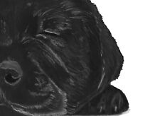 Labrador puppy Art Print, Lab Drawing Gift Artist Signed Print Charcoal Artwork 