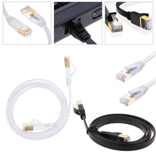 Cat ethernet internet cable - ethernet,