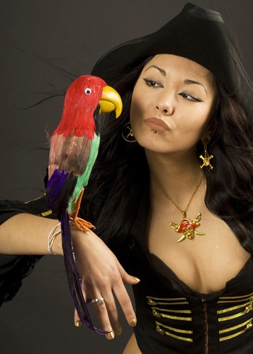 Pirate fancy dress feather - pirate,