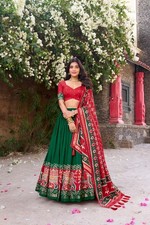 Pakistani Bollywood Lehenga