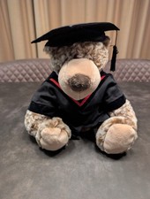 Vintage Build A Bear Graduation Cap Gown