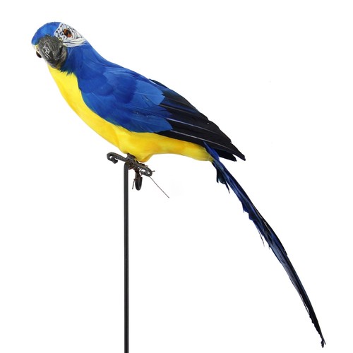 25cm 35cm 45cm 60cm - 25cm/35cm/45cm/60cm, simulation
