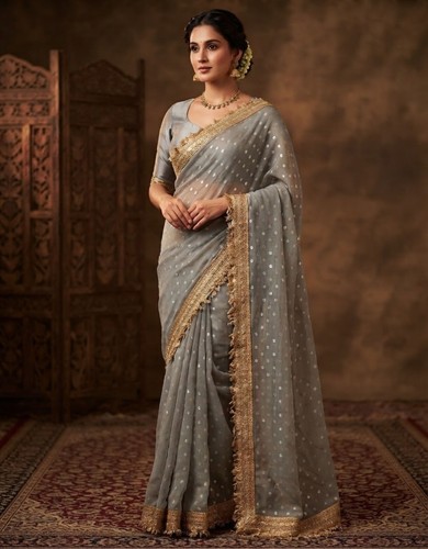 Elegant women saree with - elegant, women’s