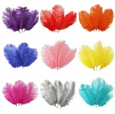 Sizes beautiful ostrich - 3,