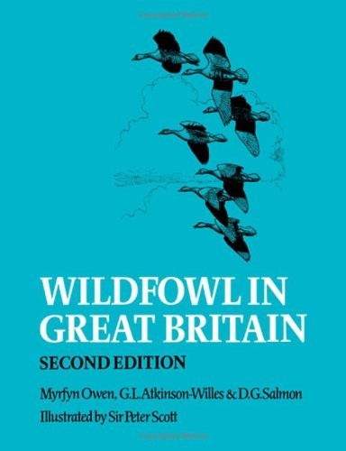 Wildfowl great - wildfowl, in