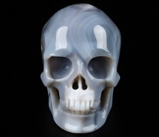 4.6" Gray & White Agate Carved Crystal Skull,Super Realistic, Crystal Healing