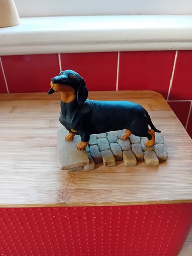 Rare teviotdale dachshund by - dachshund,