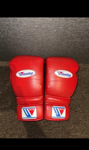 Winning boxing gloves - winning,