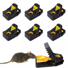 Major Powerful Traps (4-12