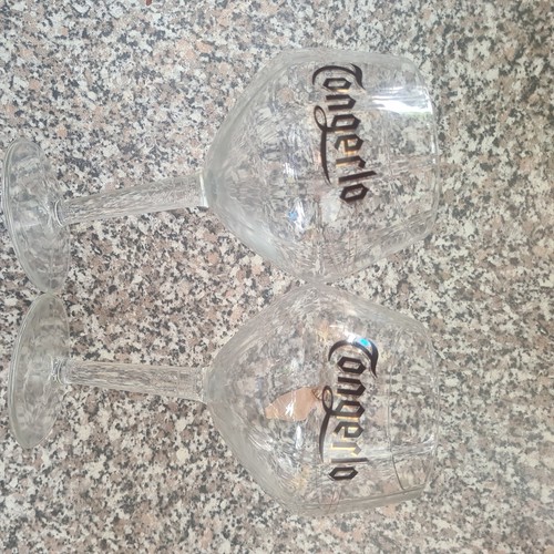 Tongerlo 33cl belgian beer - 33cl,