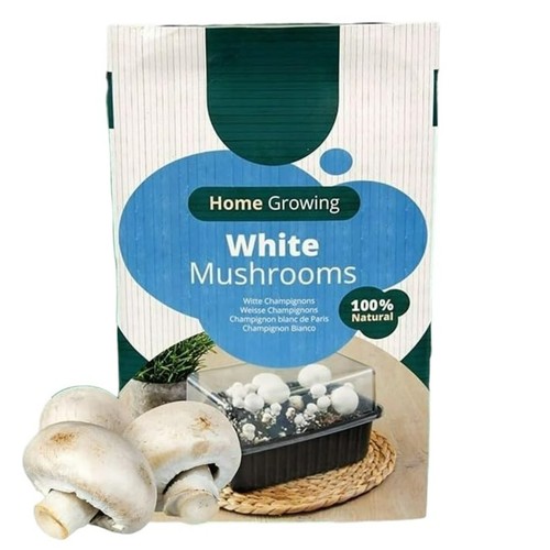 Mushroom growing kit - kit, white