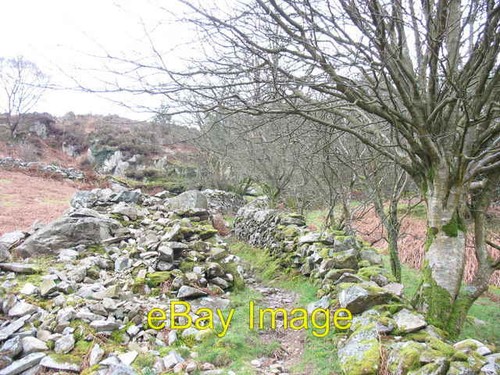 Photo 6x4 field clearance - 6x4,
