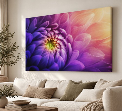 Colourful chrysanthemum canvas - colourful,