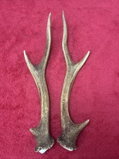 PAIR OF SIKA DEER ANTLERS