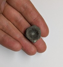 An Ichthyosaur Vertebra From