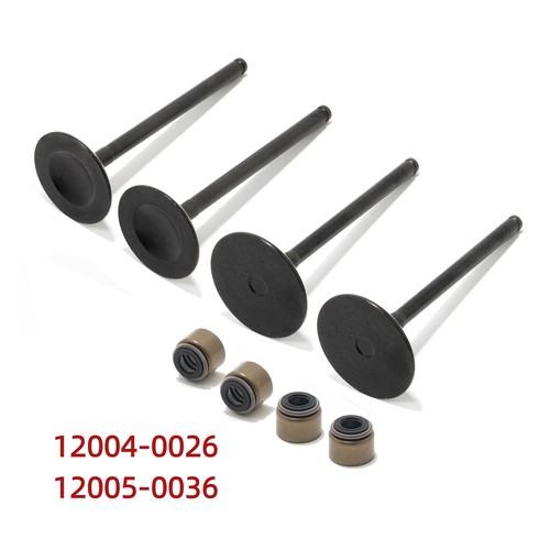 Atv intake exhaust valves - intake,