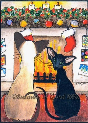 Aceo siamese oriental - aceo,