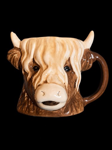 Bull highland cow head - bull,