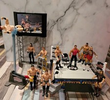 ​WWE Wrestling Action Figure