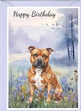 Staffordshire Bull Terrier Dog