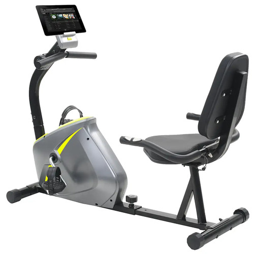 Vidaxl magnetic recumbent - magnetic,