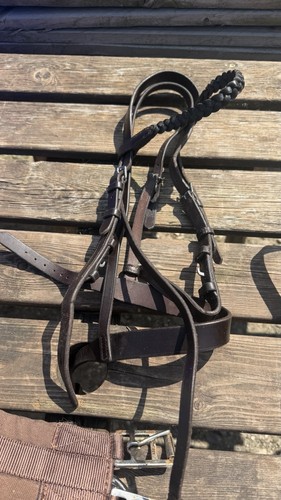 English bridle company small - english,