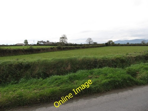 Photo 6x4 pasture - photo, south