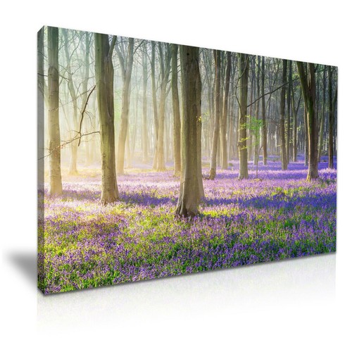 Beautiful stunning bluebells - beautiful,