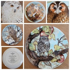 Coalport THE WISE OWL Fine Bone China Collector's Plates 8" SNOWY TAWNY BARN OWL