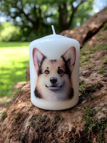 Corgi dog candle 8cm 7cm - dog, x