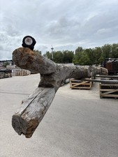 Huge Reclaimed Y Shaped/Catapult Oak Beam 15ft 2"