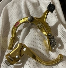 Dia Compe Mx 900 Gold Dated