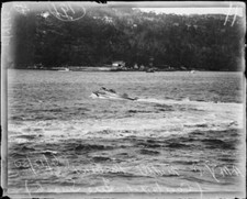 Motor yacht Century Tire after