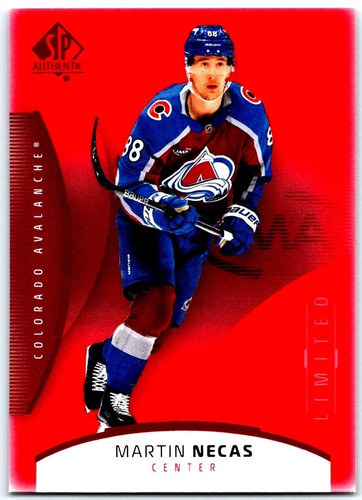 2025 authentic hockey - 2025,