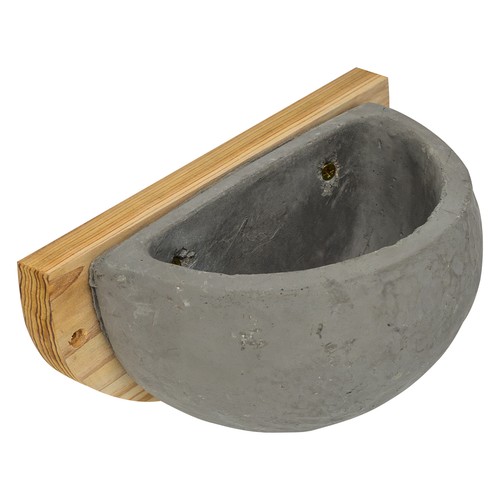 House martin swallow bird nest - swallow,