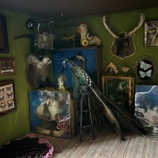 Dolls house miniatures - dolls,