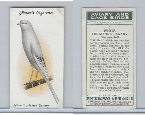 P72 player aviary cage - p72-66, player,