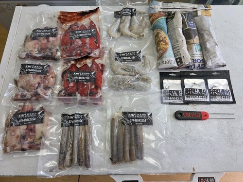 Sea fishing bait deal - fishing, £65