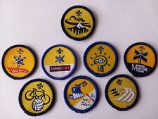Beaver Scout Activity Badges post 2002