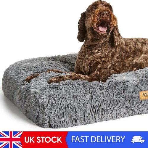 Snug super fluffy large dog - snug,