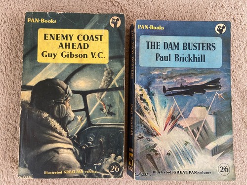 Enemy coast ahead guy - enemy,