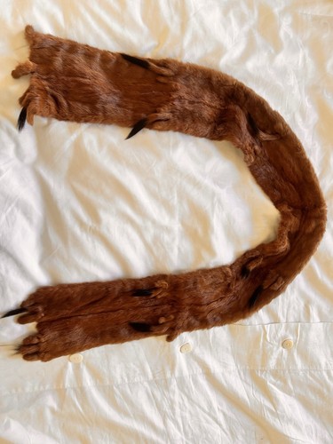 Vintage fur collar wrap with - vintage,
