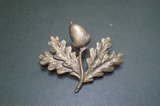 Cap Badge. The South Nottinghamshire ( Yeomanry ) Hussars