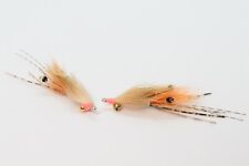 Petersons Spawning Shrimp