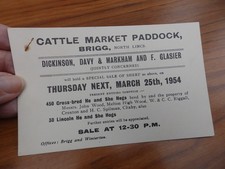 Postcard sized notice CATTLE