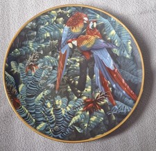 Scarlet Macaws By Richard