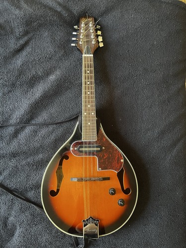 Ibanez electro acoustic - ibanez, electro-acoustic