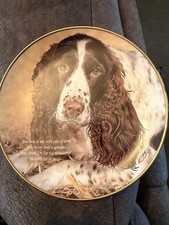 Danbury Mint Eyes Of Love